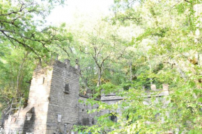 Il castello nel bosco